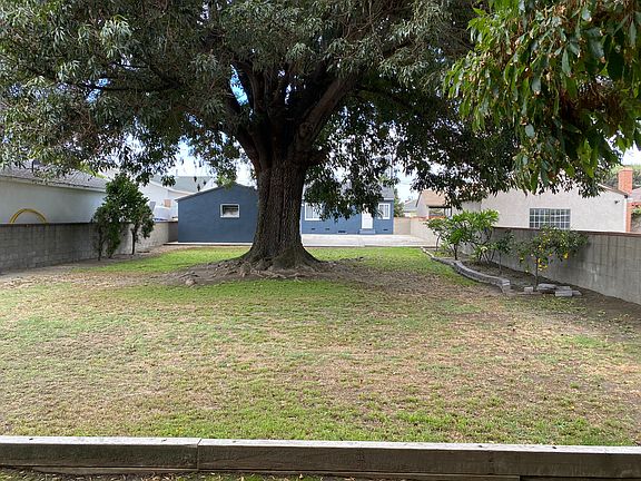 from the back of the yard