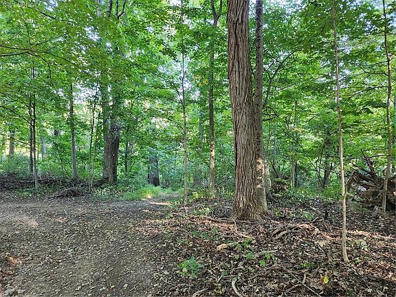 5th image of 188 Old Stage Road