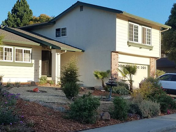 Planting a dwarf fruit tree where bucket is in this photo. Room for three cars in driveway.