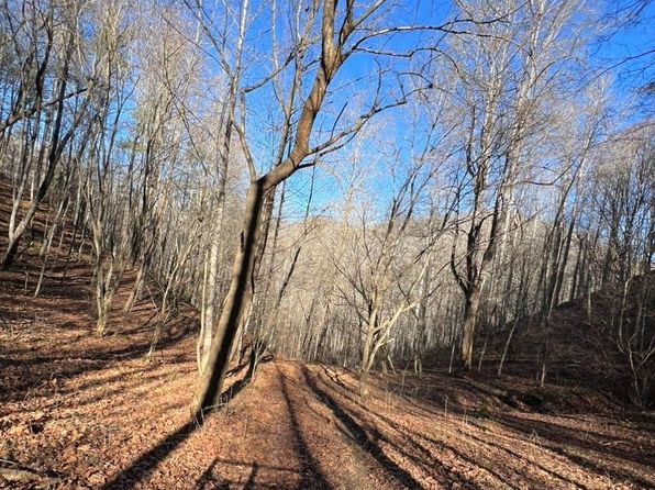12982 Us Highway 19w, Burnsville, NC 28714
