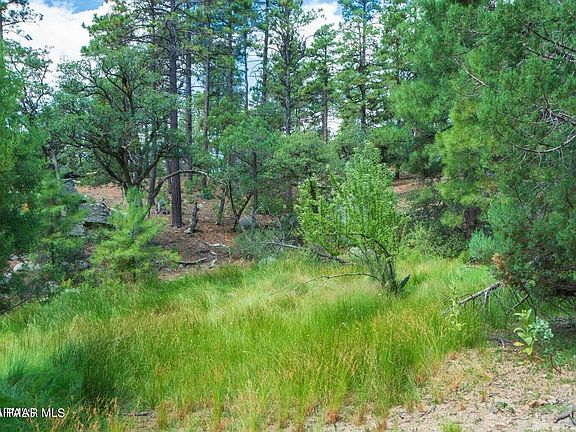 2nd image of W Pcl 4a2 Az Yavapai County