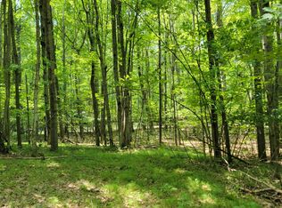 Lot 1314 Spruce Hill, Farwell, MI 48622