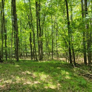Lot 1314 Spruce Hill, Farwell, MI, 48622