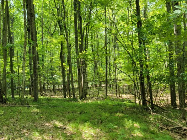 Lot 1314 Spruce Hill, Farwell, MI 48622