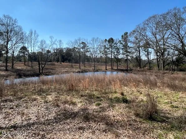 Sawmill Rd, Sandy Hook, MS 39478