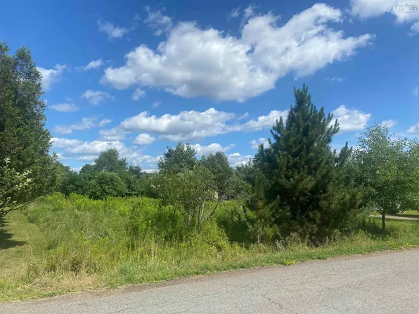 Old Ct House Branch Road Lot 24, Murray Siding, NS B6L 3X4