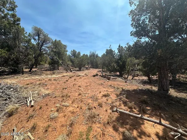 Lot #2 Power Line Road #S, Heber, AZ 85928