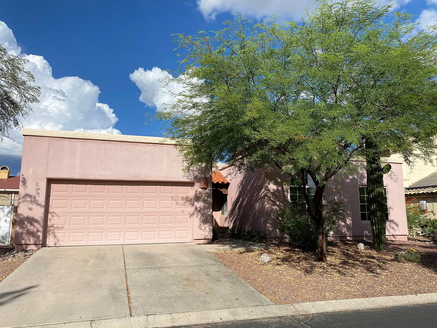 Oro Valley, Yeah Baby Yeah! — Photo 3