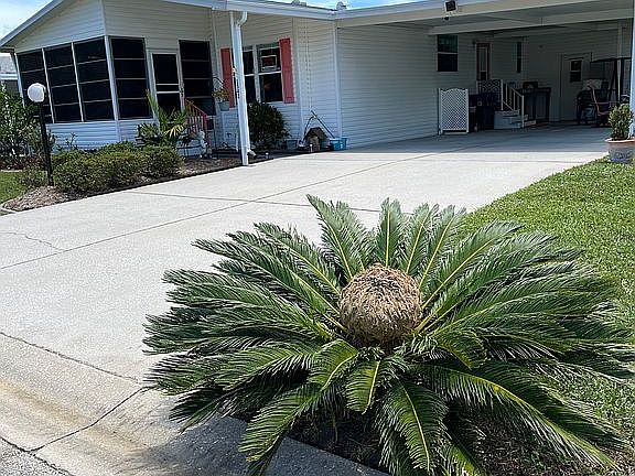 5th image of 1542 Sea Gull Dr #119