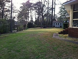 back yard