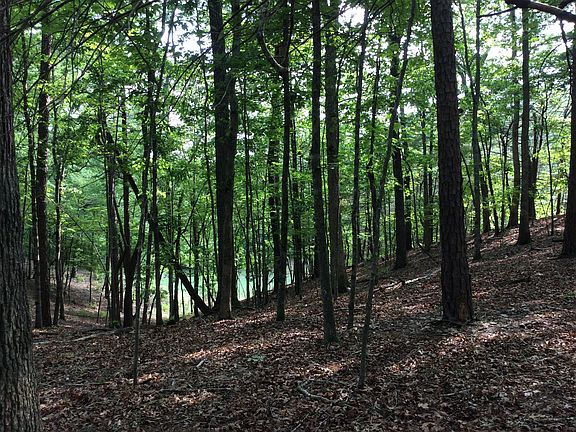 Middle of lot-towards course