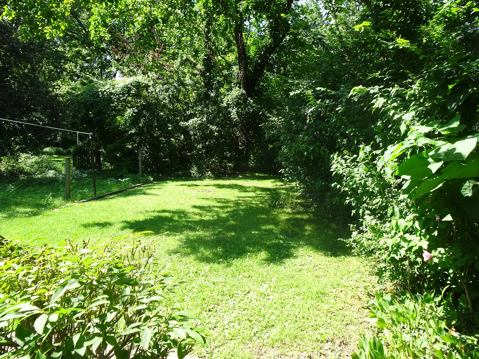 1 bed, 750 sqft, $1,375 — Photo 1