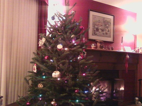 Living room at Christmas