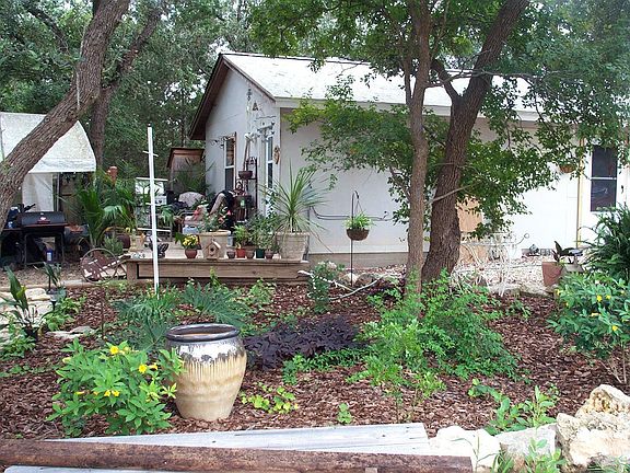 last spring - flowers in the bed