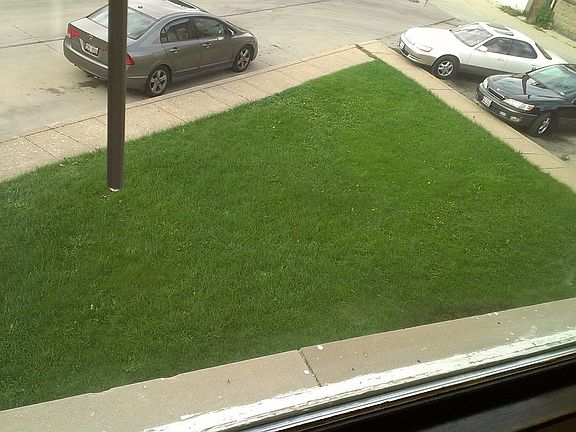 YARD VIEW