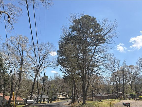 4th image of 1577 Brewster Cir