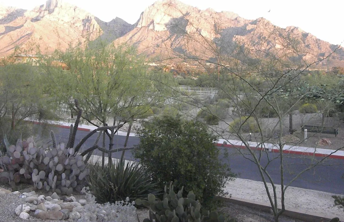 W Matterhorn Street, Oro Valley — Photo 3