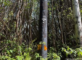 17-3352 Maunalani Tract Rd, Mountain View, HI 96771