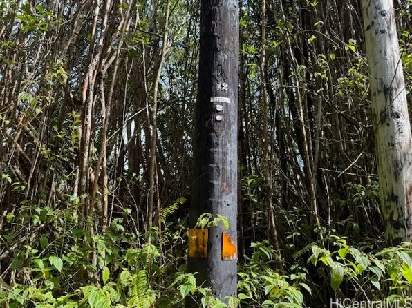 17-3352 Maunalani Tract Rd, Mountain View, HI 96771