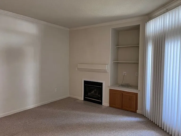 5201 Laguna Oaks Dr #169 — Photo 3
