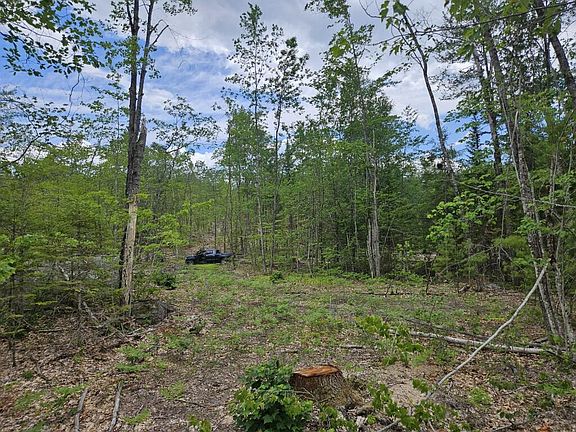 5th image of 19A Quaker Ridge Road