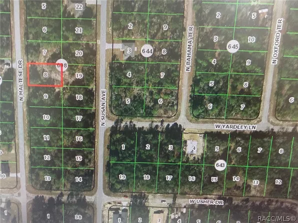7967 N Maltese Dr, Citrus Springs, FL 34433