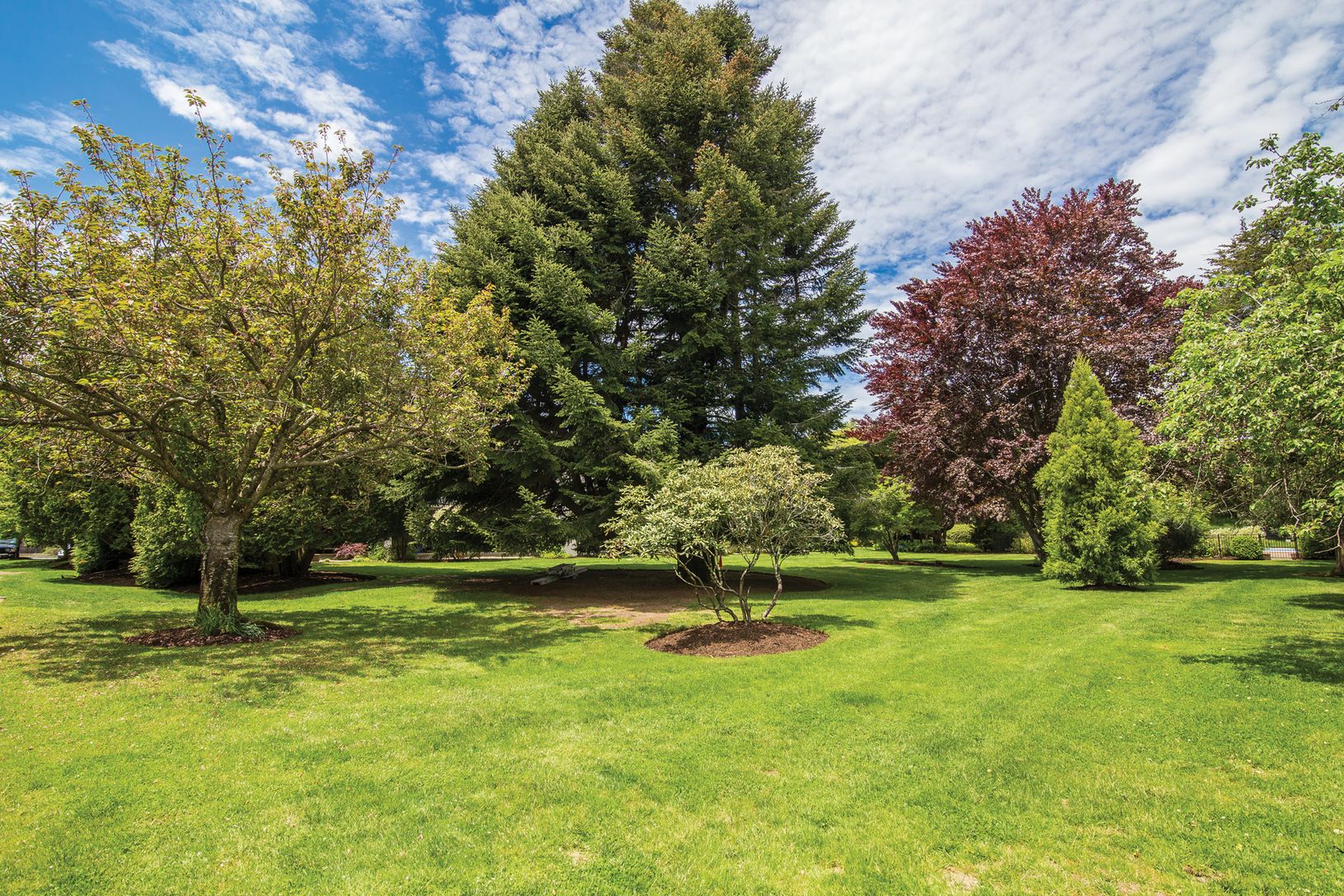  grounds with specimen trees and plantings