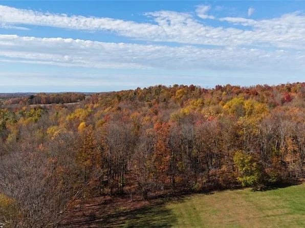 Davidson Rd Lot 45, Rome, NY 13440