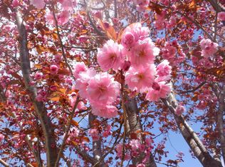 39070 Kingfisher Rd, Squamish, BC V8B0S9