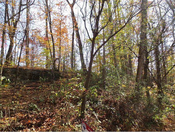 2nd image of Rockwood Dr