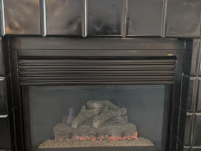 Living room gas fireplace insert