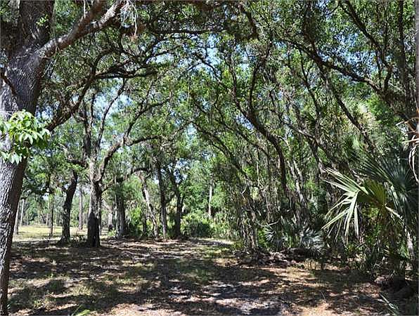 2nd image of Blue Cypress Lake Rd
