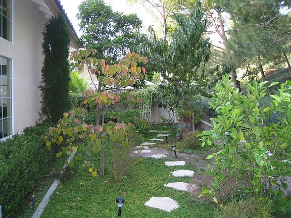 Huge side yard for garden