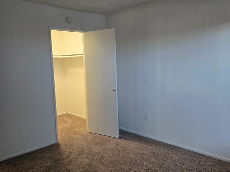 Franklin Luxury Apartments — Photo 31