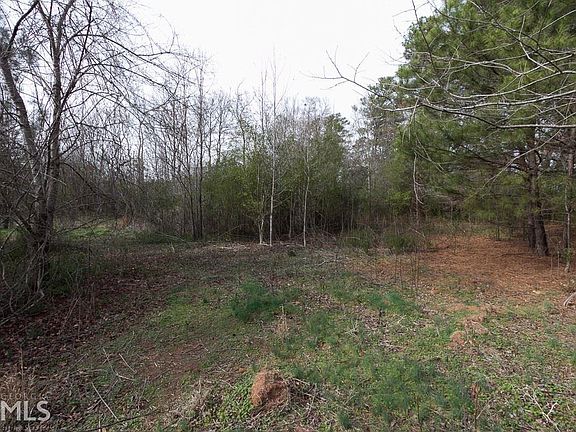 3rd image of 405 Willow Springs Ln