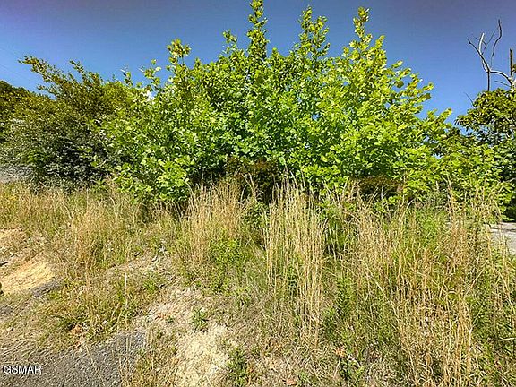 3rd image of 639 Pinecrest Dr Lot 492