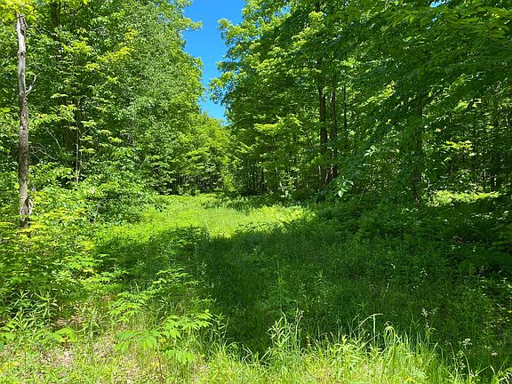 5th image of Niemi Rd