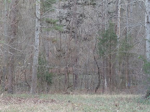 4th image of 2100 Brevard Place Dr