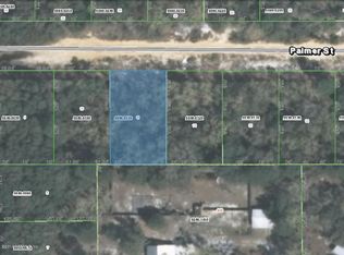 217 Palmer St, Interlachen, FL 32148