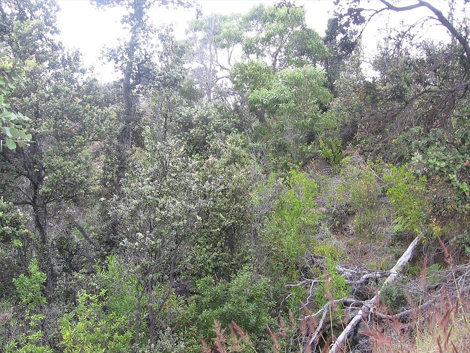 2nd image of Lono Ln Lot 12