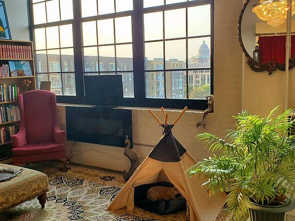 Very pet friendly building