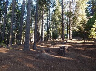 3301 Big Foot Cir #190, Arnold, CA 95223