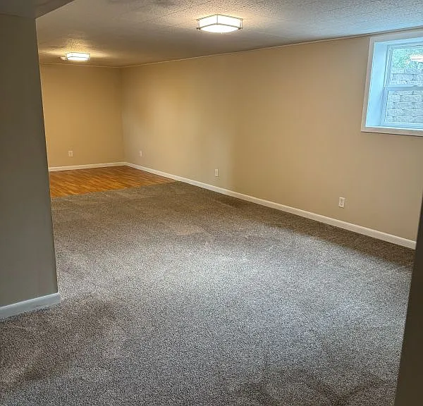 Finished basement family room