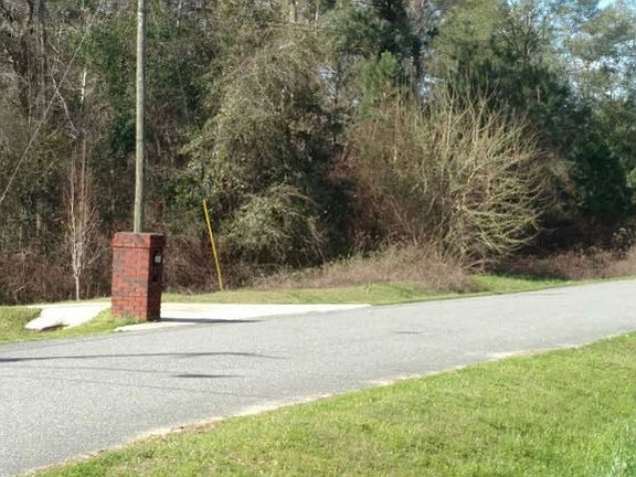 4th image of 88 Ponderosa Ln