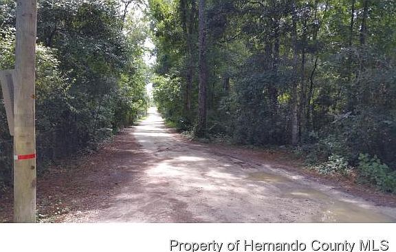 3rd image of Dentala St