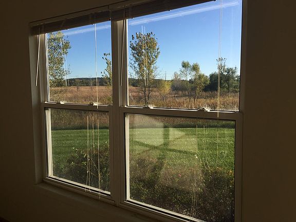 Living room window view