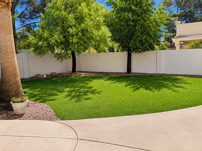 Private backyard with green lawn area and mature trees