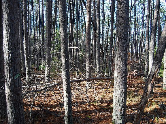 3rd image of LOT 7 Viola Ln Lot 7