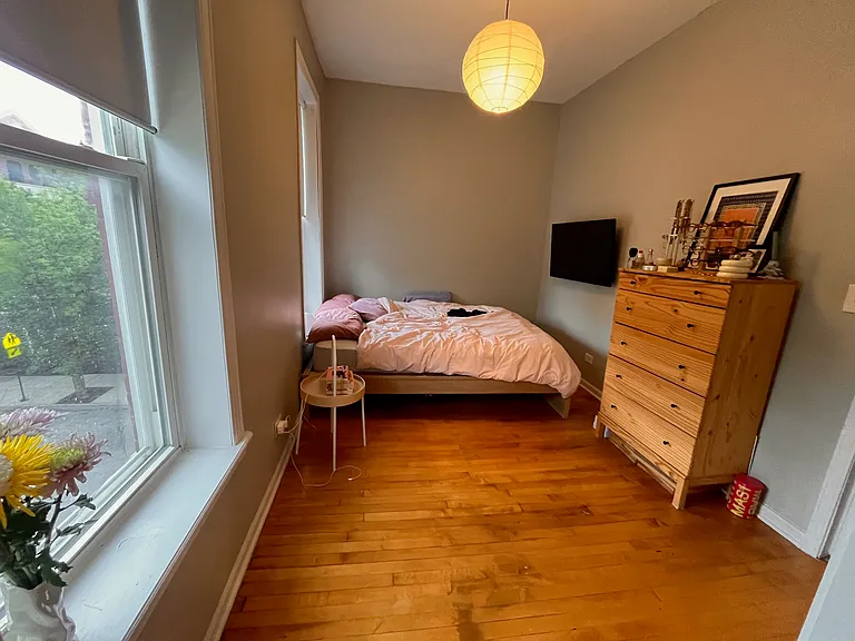 3227 S Carpenter St #3F — Photo 9