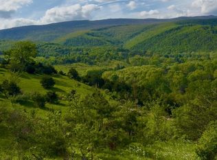 411 Rimfire Road; Jordan Run Rd, Maysville, WV 26833